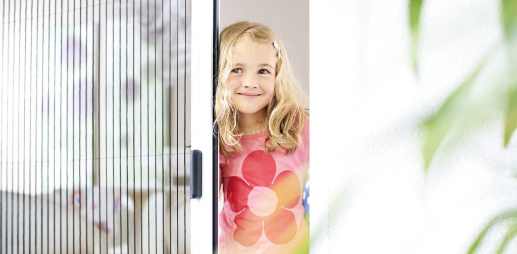 Moustiquaire plissé